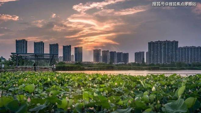 )-留香园售楼处电话-大华星曜楼盘详情米乐m6登录入口留香园(2025年网站(图16)