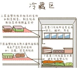 文搞懂冰箱食物保存时间冻了1年的肉还能吃？一(图1)