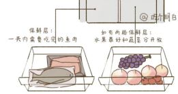 文搞懂冰箱食物保存时间冻了1年的肉还能吃？一(图2)